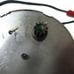 Timer Motor Dryer Timer 358604 - Side View