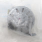 205143 Whirlpool Maytag Dryer Timer Motor *1 Year Guarantee* SAME DAY SHIP